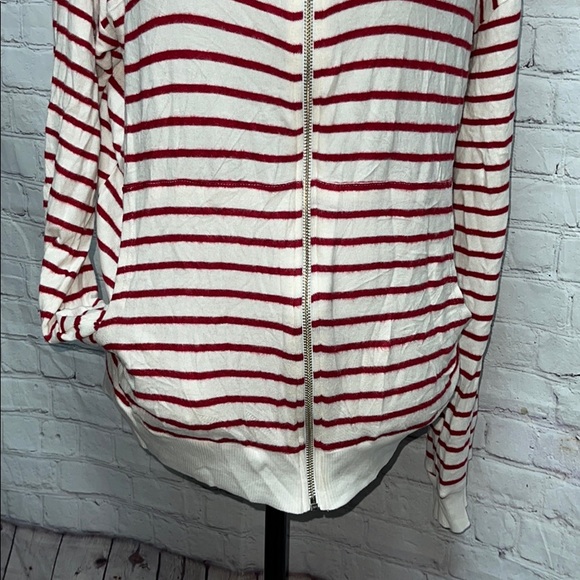 Soft & Comfy Hye Park & Lune Zippered Hooded Sweatshirt - Picture 6 of 12